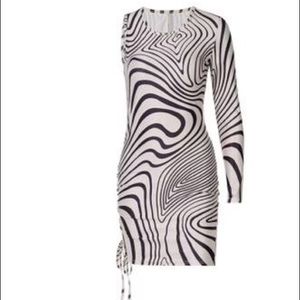 Zesty Zebra Dress